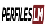 Cliente SAETA: Perfiles LM