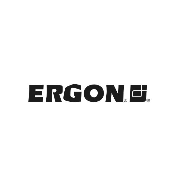 Cliente SAETA: Ergon