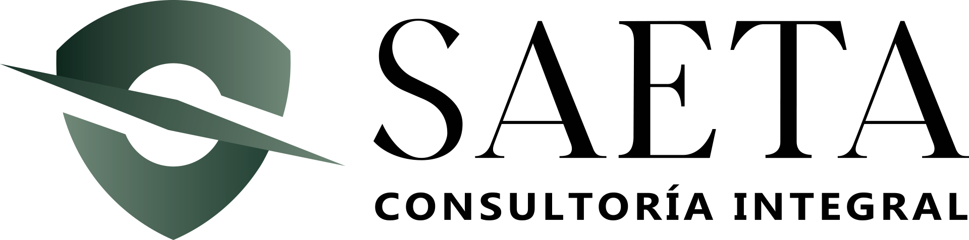 SAETA Consultoría